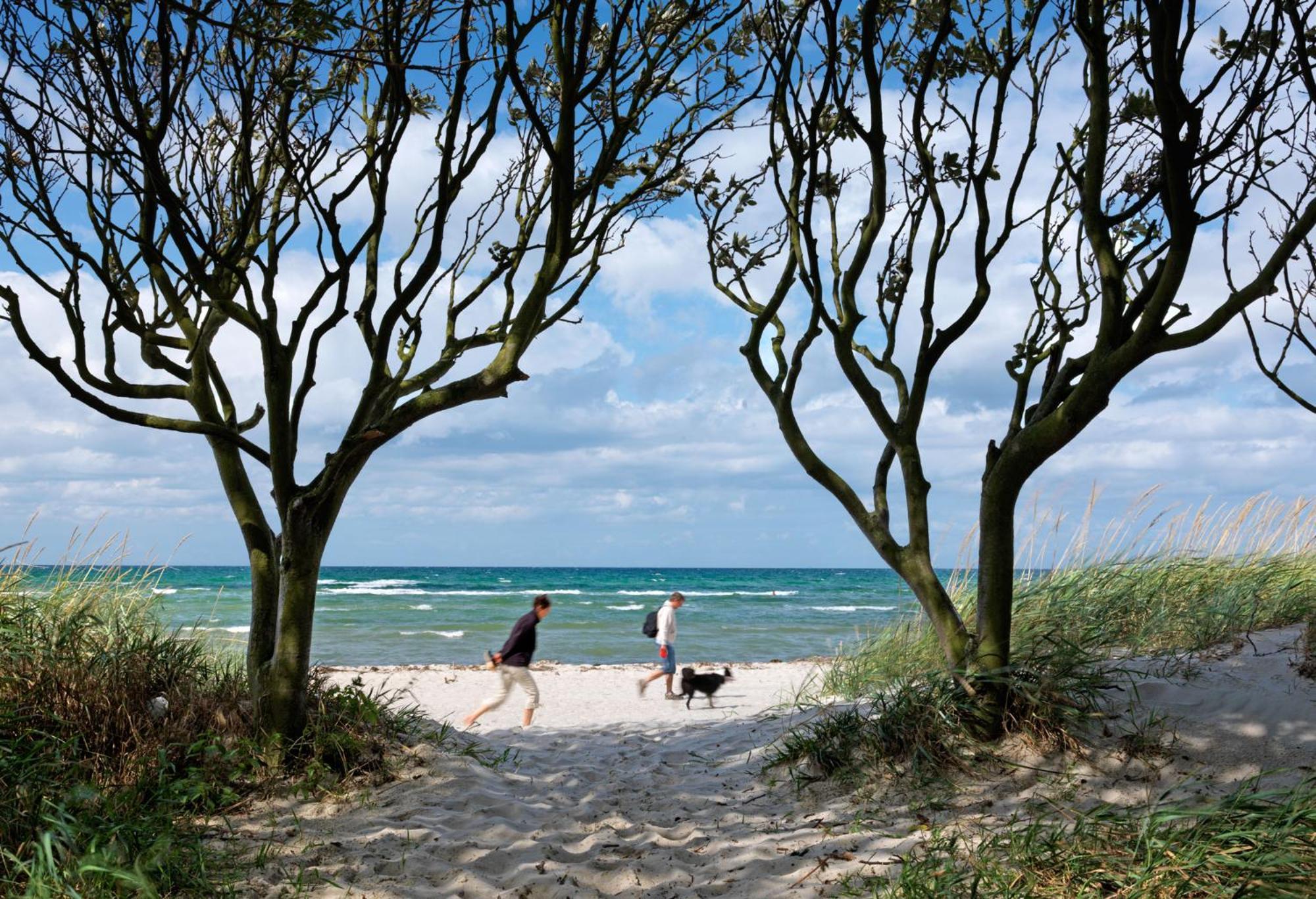 Daenische Ferienhaeuser Am Salzhaff Haus Pacific Villa Insel Poel Exterior photo